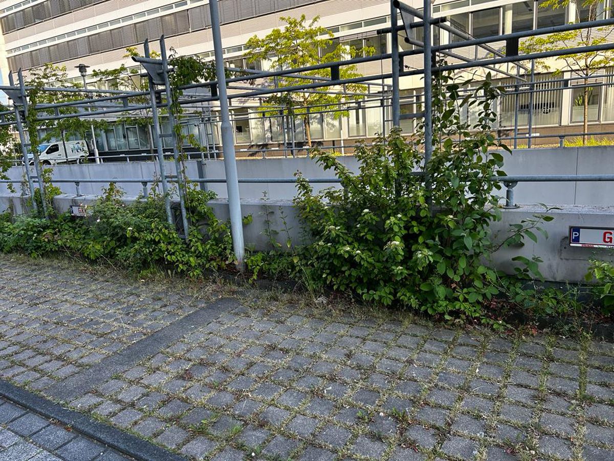 Garten- und Landschaftspflege